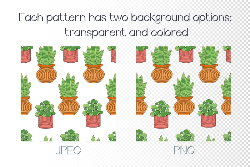 13-seamless-patterns-with-hoyseplants-backgrounds-with-potted-plant