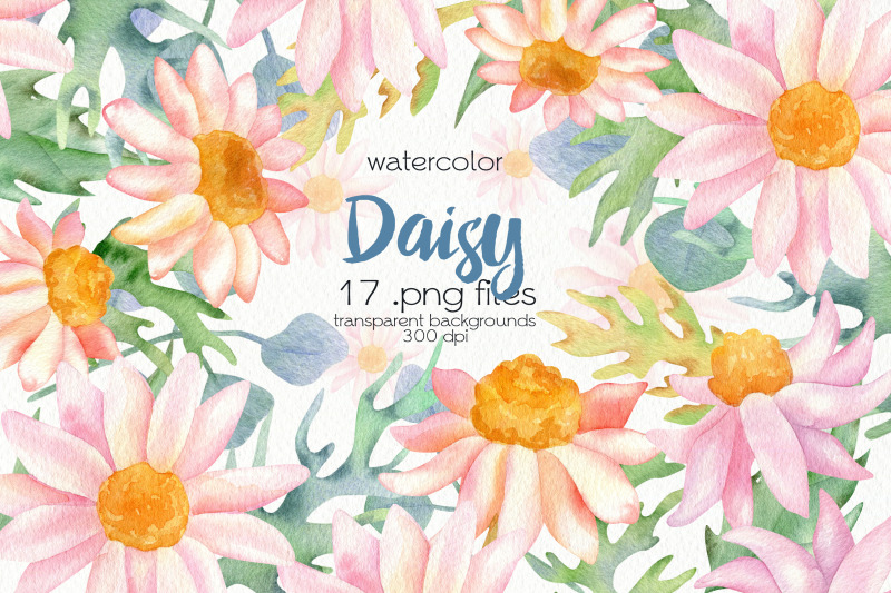 watercolor-daisy-flower-clipart-png-files