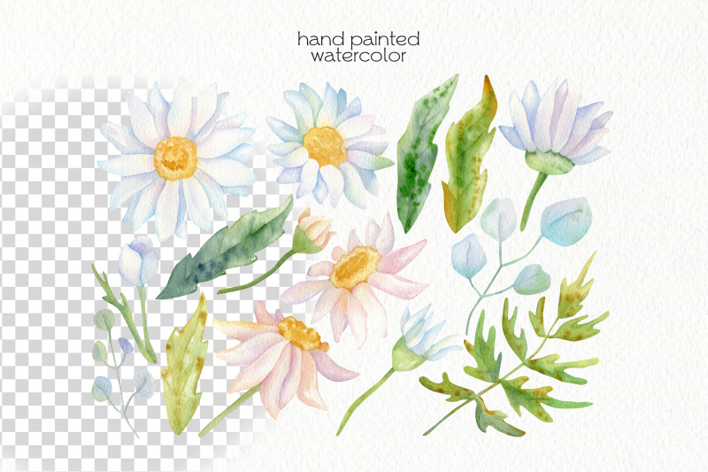 watercolor-daisy-flower-clipart-png-files