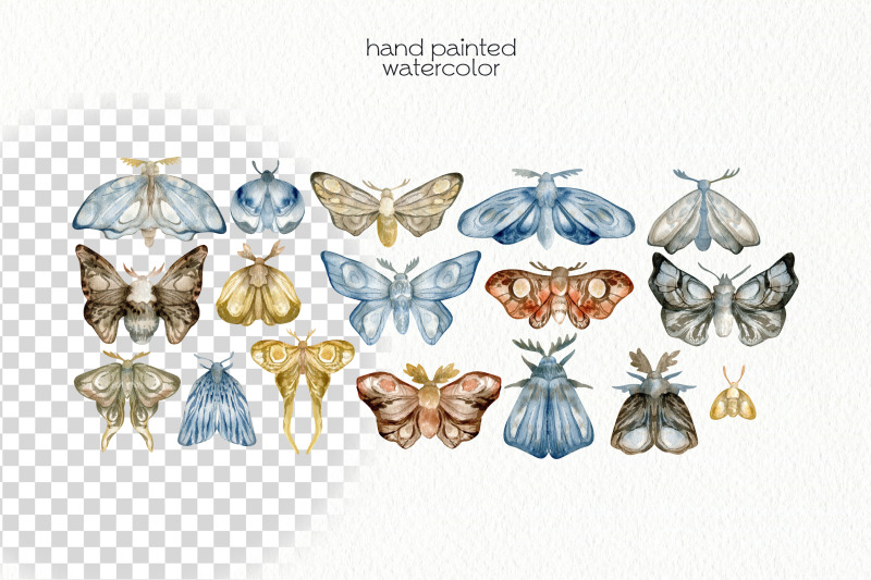 watercolor-moth-clipart-png-files