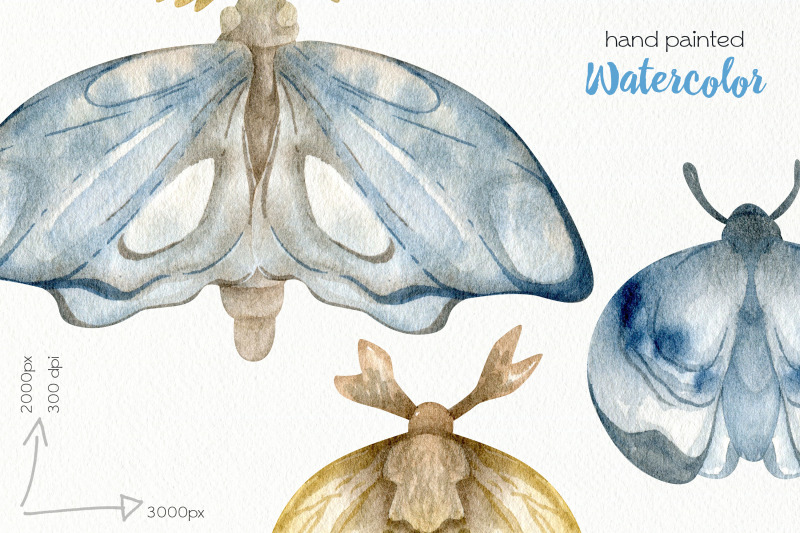 watercolor-moth-clipart-png-files