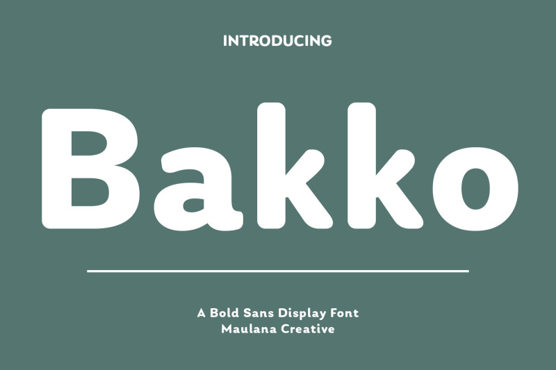 bakko-sans-display-font