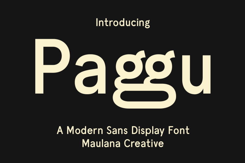 paggu-sans-display-font
