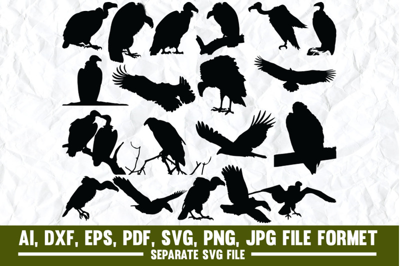 vulture-bird-vulture-culture-animal-turkey-vulture-nature-skull