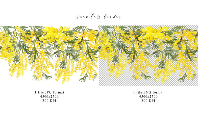 mimosa-flower-collection