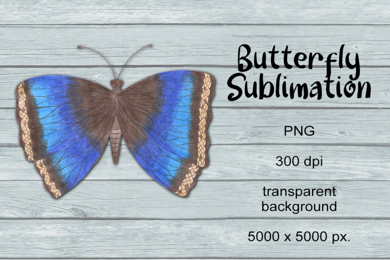 butterfly-sublimation-png-design