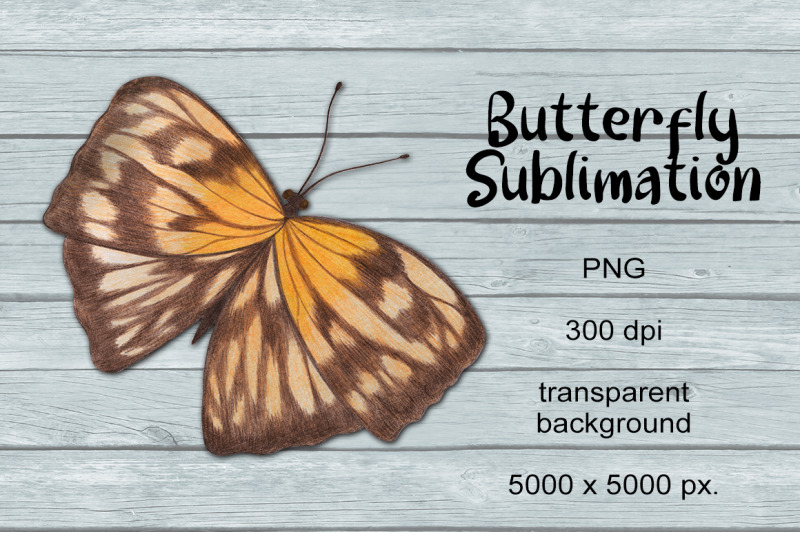 butterfly-sublimation-png-design