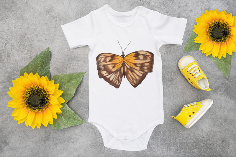 butterfly-sublimation-png-design