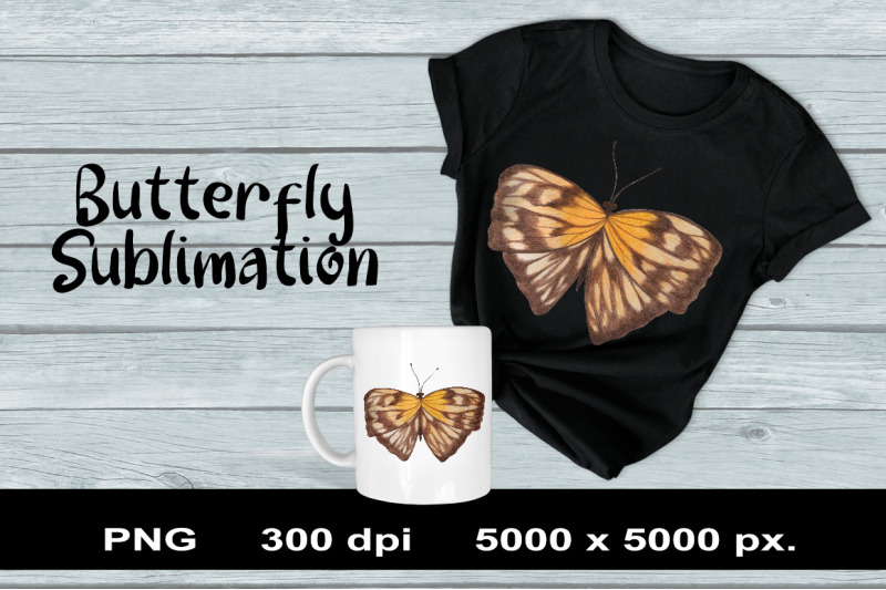 butterfly-sublimation-png-design