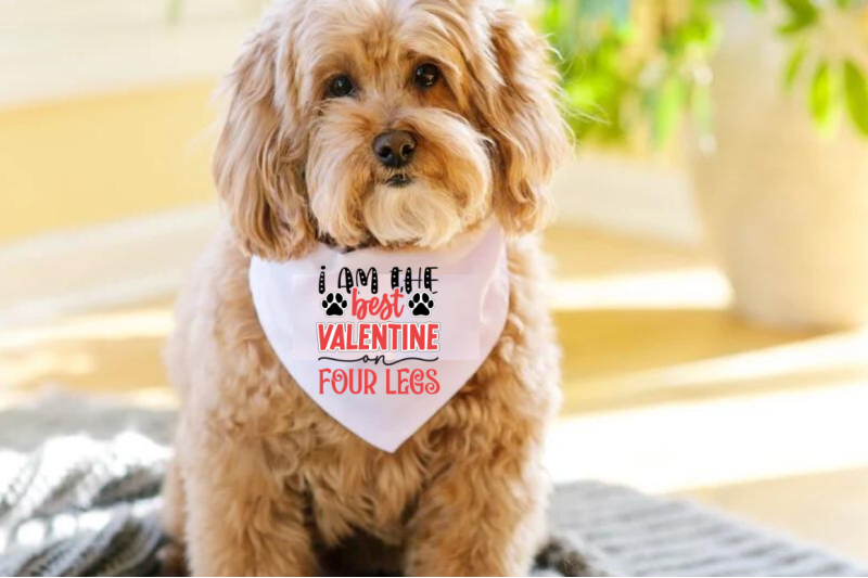 valentines-day-dog-svg-bundle