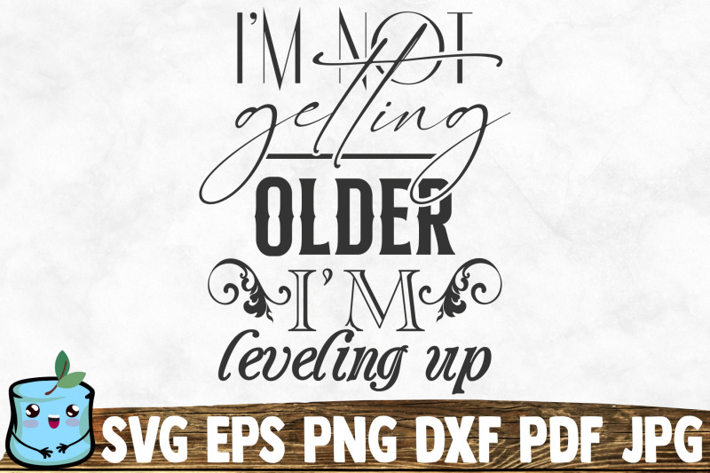 i-039-m-not-getting-older-i-039-m-leveling-up