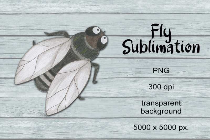 fly-sublimation-png-design