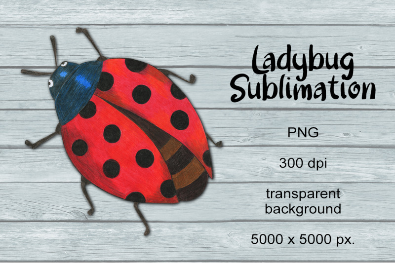 lady-bug-sublimation-png-design