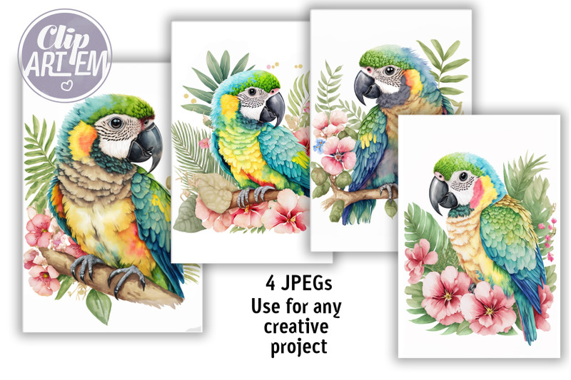 baby-macaws-parrots-tropical-flowers-4-jpeg-watercolor-wall-art-bundle