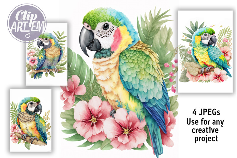 baby-macaws-parrots-tropical-flowers-4-jpeg-watercolor-wall-art-bundle