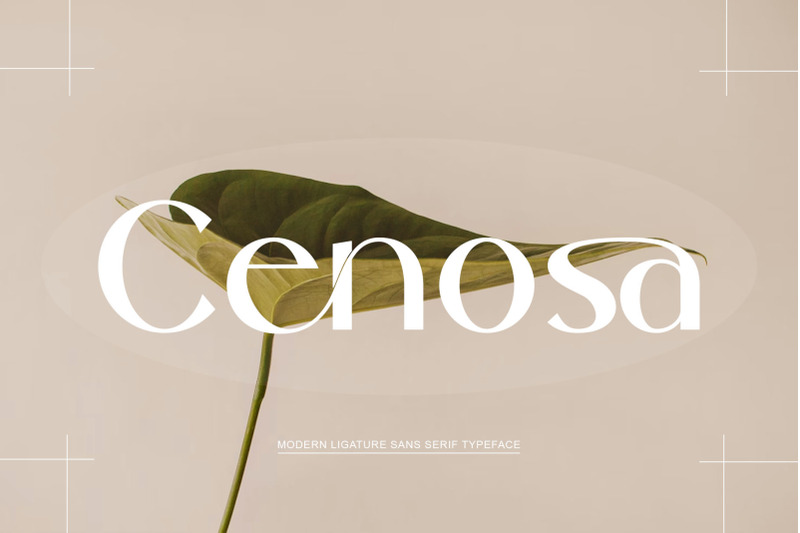 cenosa-modern-sans-serif-typeface