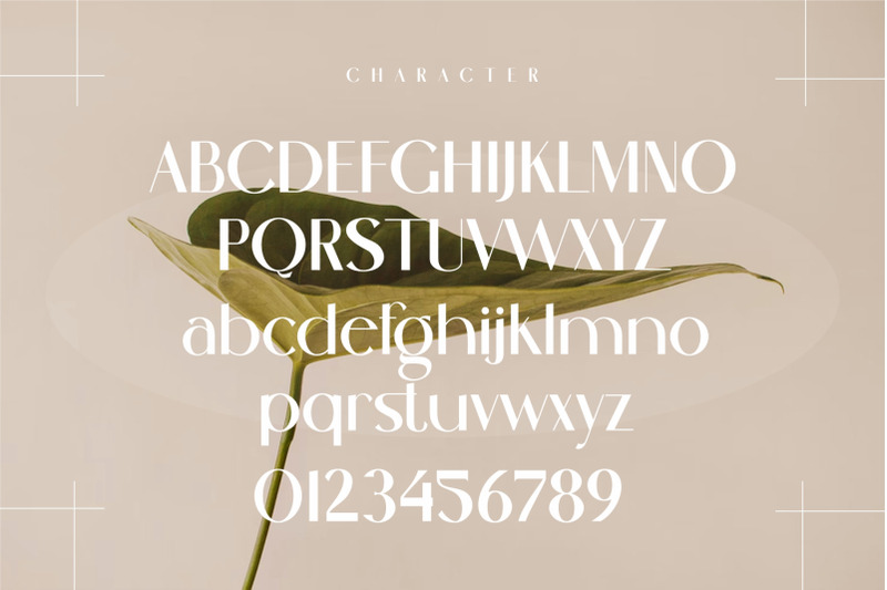 cenosa-modern-sans-serif-typeface