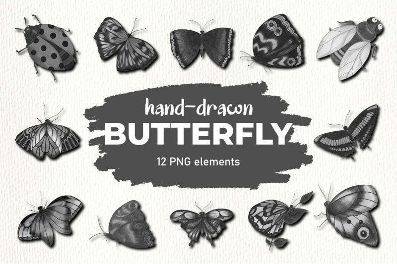 butterfly-clipart-butterfly-illustrations-png