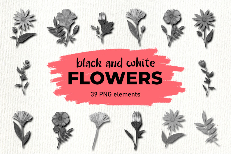 flower-clipart-black-and-white-illustrations-png