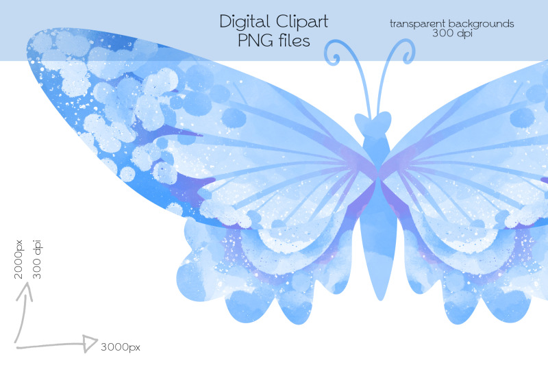 butterflies-clipart-png-files