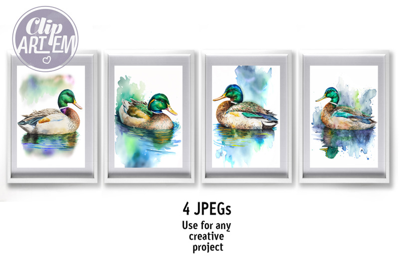 mallard-duck-4-jpeg-watercolor-images-wall-art-bundle