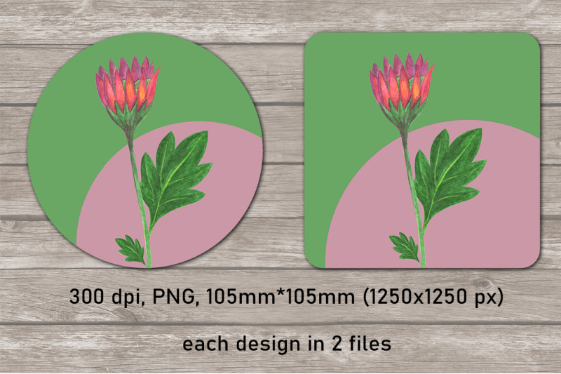 chrysanthemum-flowers-coaster-sublimation-design-bundle