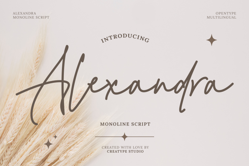 alexandra-monoline-script