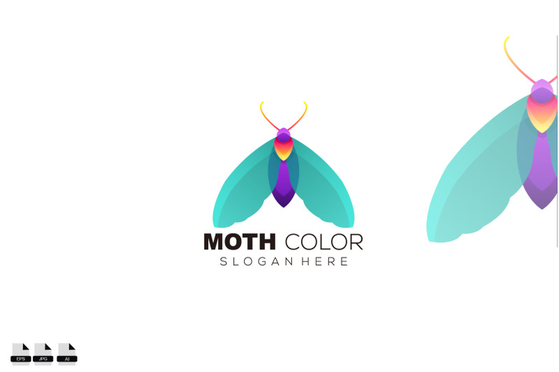 moth-colorful-logo-vector-illustration-design