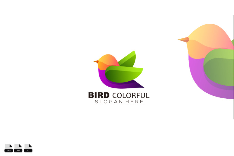 colorful-bird-design-animal-logo-template