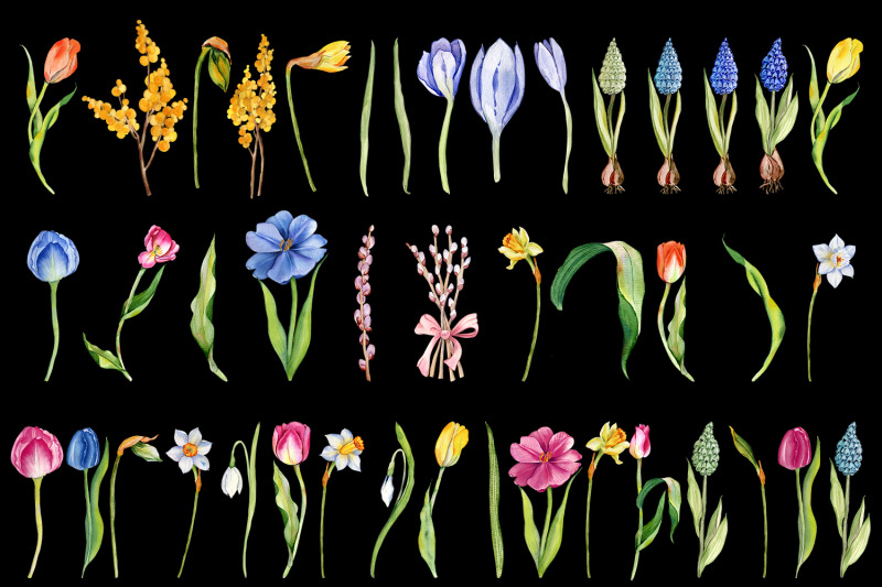 watercolor-spring-flowers-bouquet-flowers