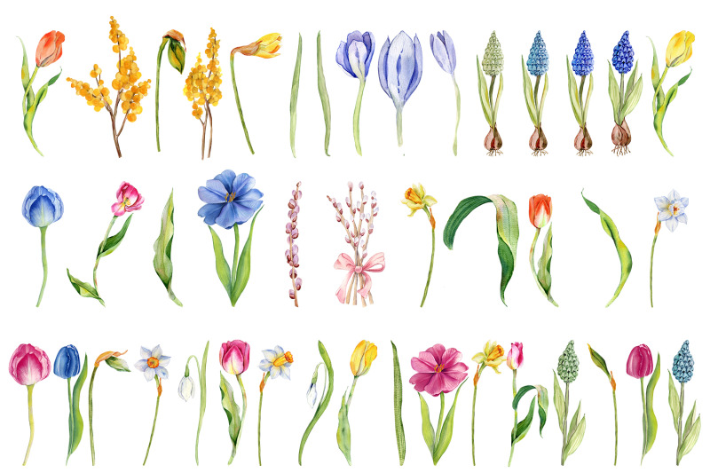 watercolor-spring-flowers-bouquet-flowers