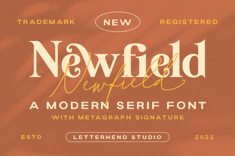 newfield-modern-serif-font