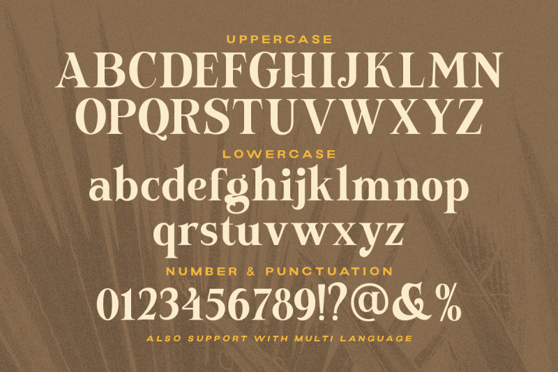 newfield-modern-serif-font