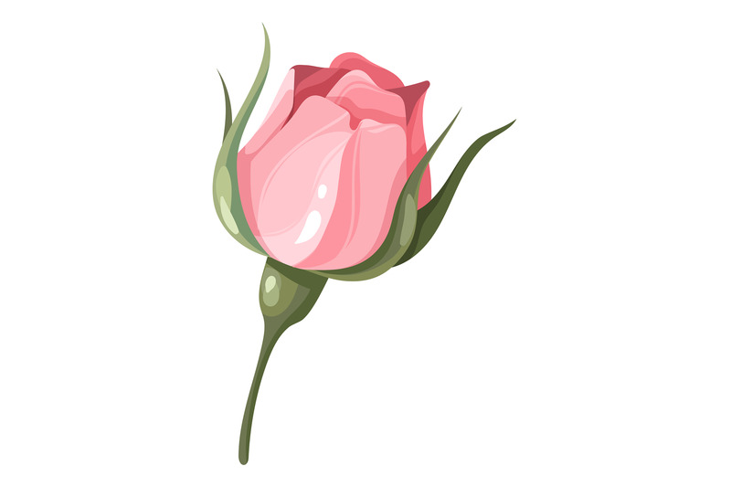 pink-flower-delicate-romantic-bud-botanical-element