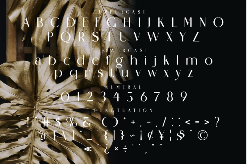 horagen-modern-ligature-sans-serif
