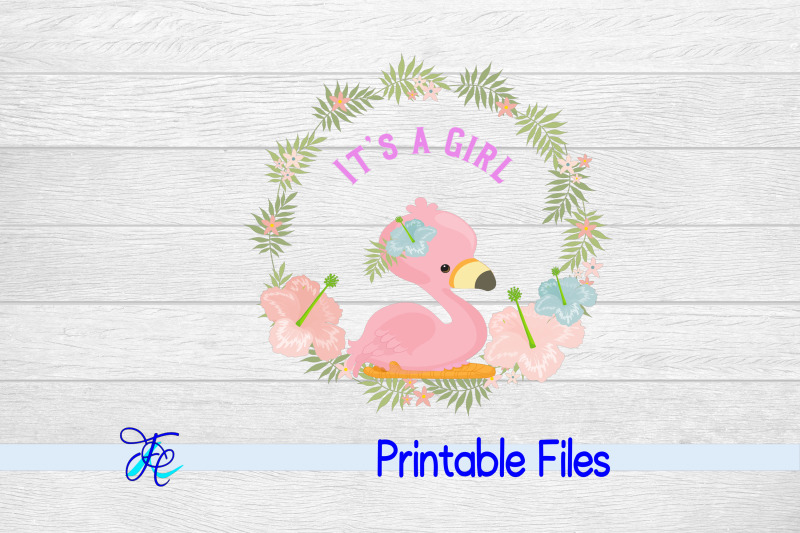 it-039-s-a-girl-flamingo