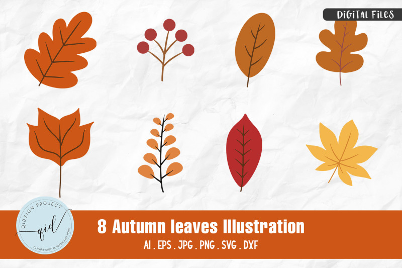 autumn-leaves-illustration-8-variations