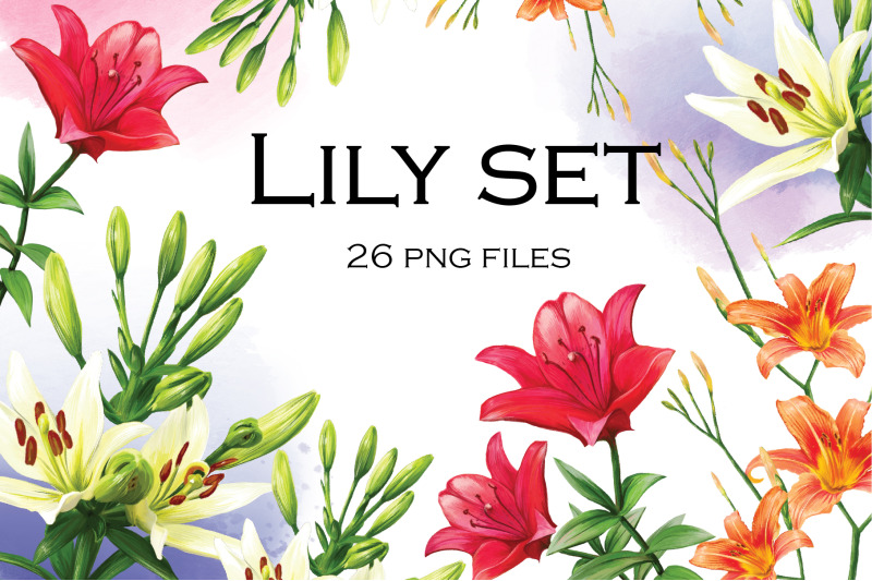 lily-set