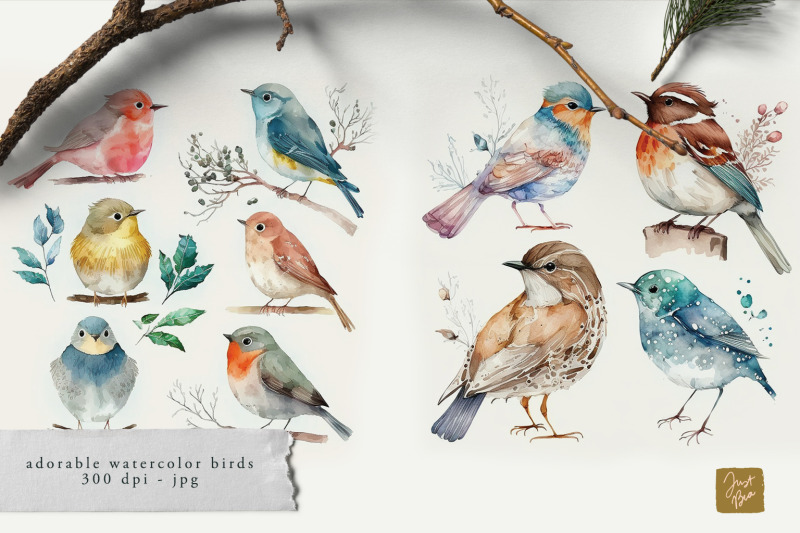 cute-adorable-set-of-53-watercolor-bird-illustrations