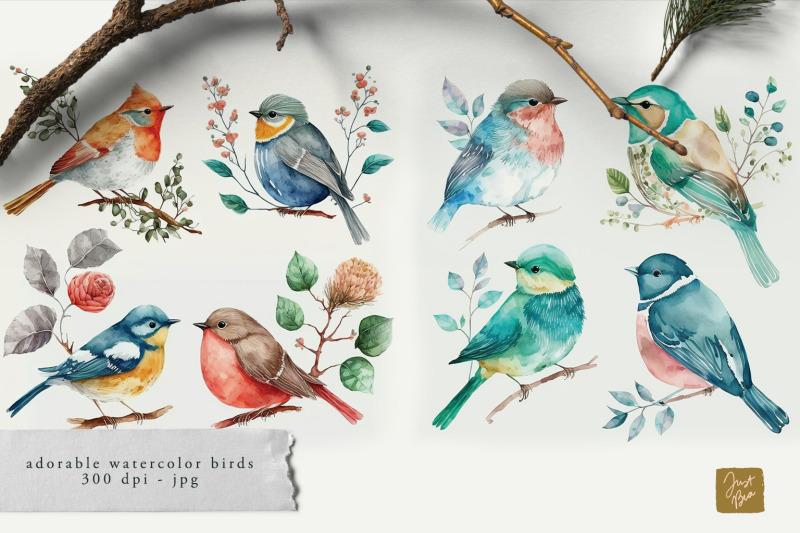 cute-adorable-set-of-53-watercolor-bird-illustrations
