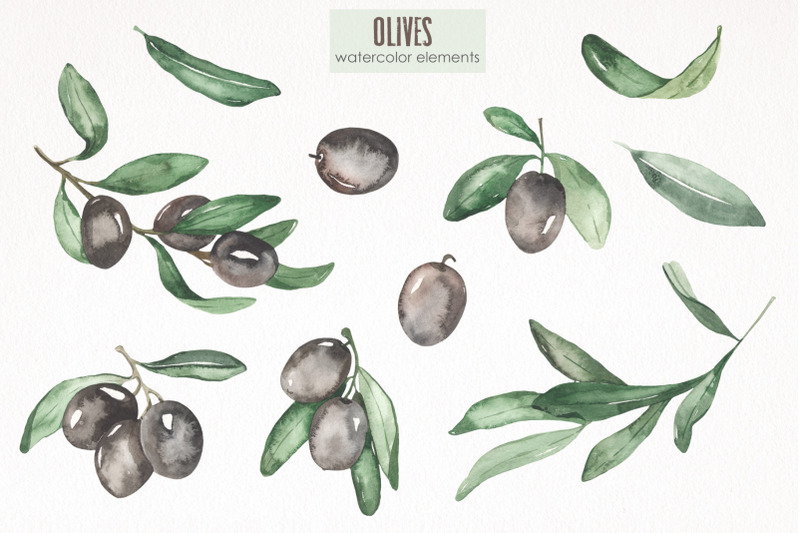 olives-watercolor