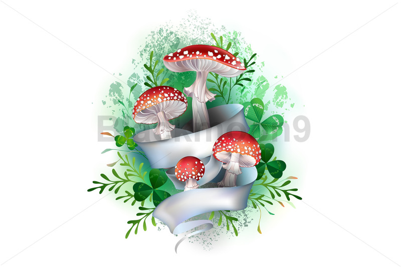 fly-agaric-with-white-ribbon