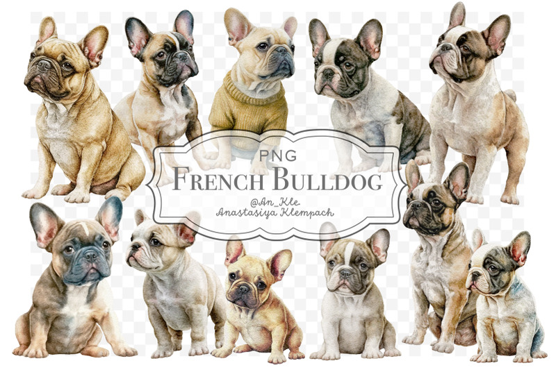 french-bulldog-clipart-png