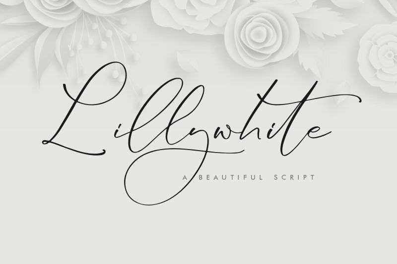 lillywhite-beautiful-script