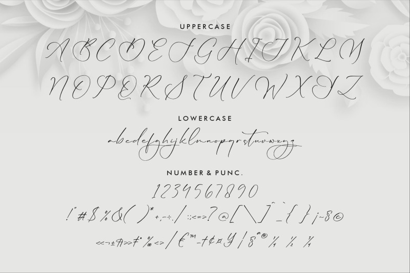 lillywhite-beautiful-script