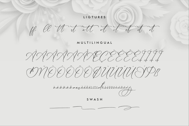 lillywhite-beautiful-script