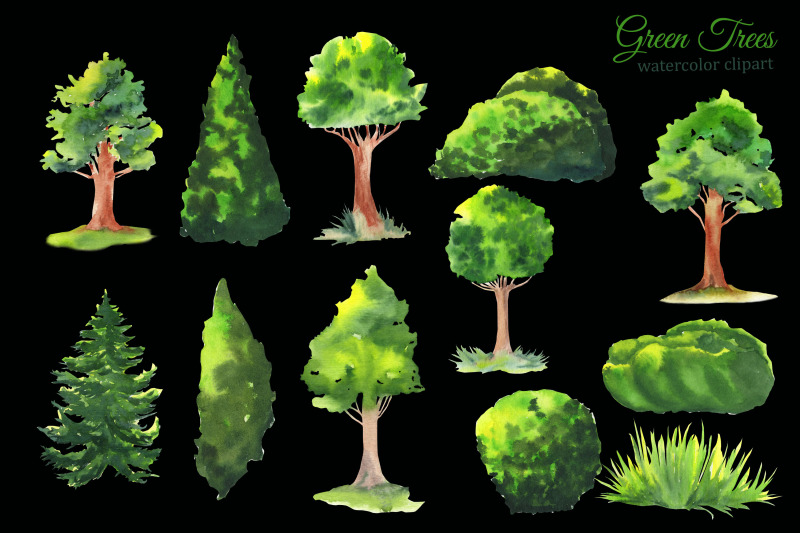 watercolor-greenery-trees-clipart-garden-and-park-sublimation-png