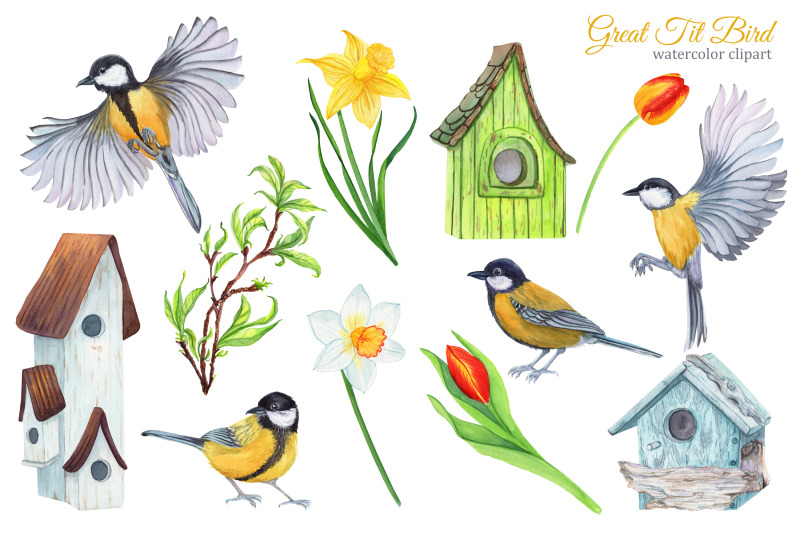 great-tit-bird-watercolor-clipart-spring-garden-clipart-birdhouse-pn