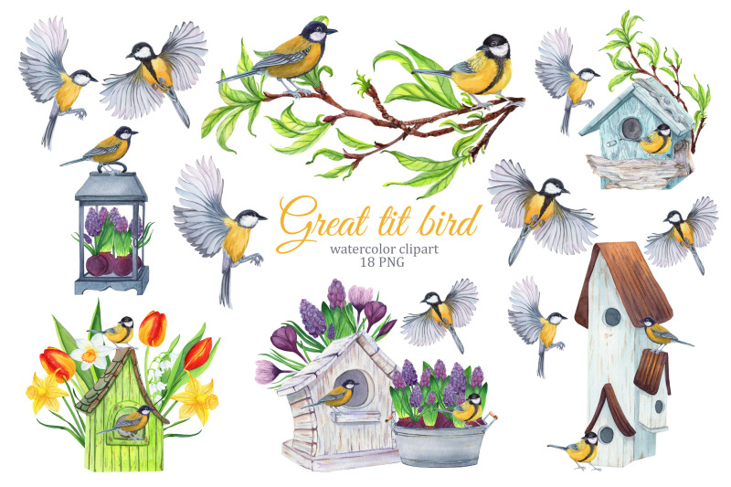 great-tit-bird-watercolor-clipart-spring-garden-clipart-birdhouse-pn