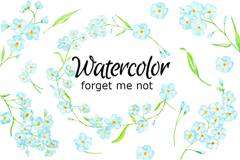 forget-me-not-watercolor-clipart